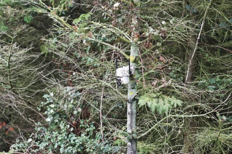 BS16 4G Outdoor Hunting Camera