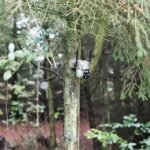 BS16 4G Outdoor Hunting Camera