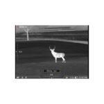 DNT TNC635R Thermal Night Vision Multispectral Scope