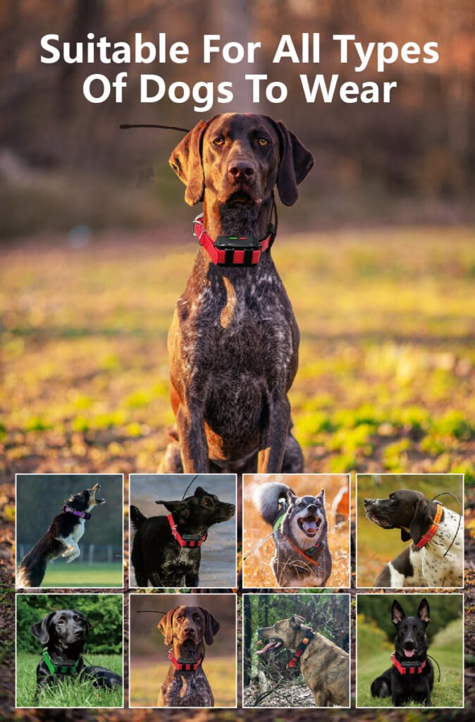 eSEEK GPS Dog Tracker